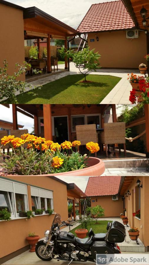 Villa Klara Novi Sad Exterior photo